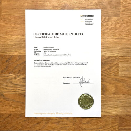 certificate of authenticity certificate of authenticity